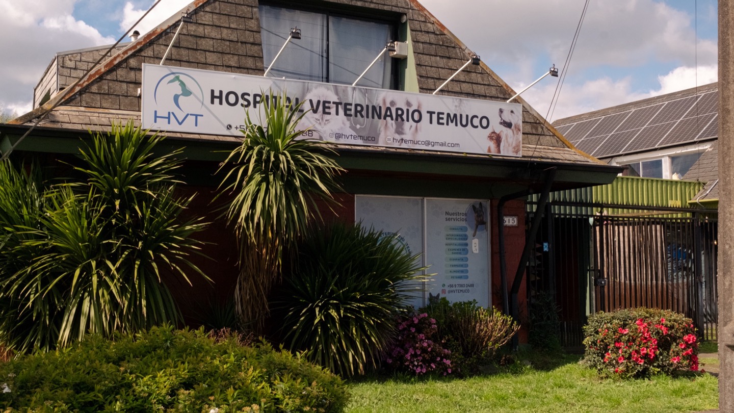 Hospital veterinario en el eje de Av. Javiera Carrera